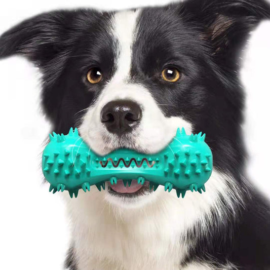 Rubber Molar Stick Chew Toy for Aggressive Chewers — Dental Cleaning Dog Toy