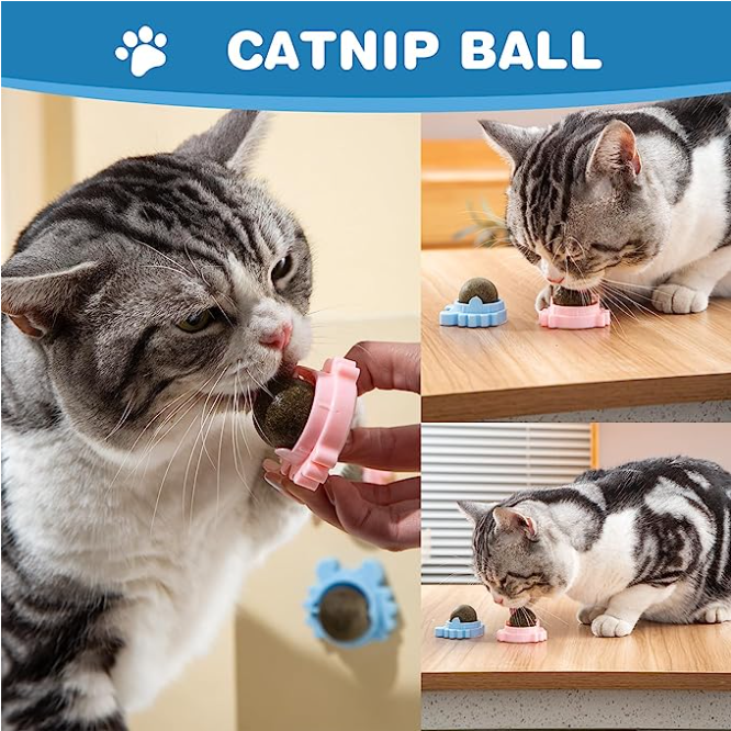 Crab Catnip Ball Toy for Cats — Detachable Design for Dental Health & Anxiety Relief