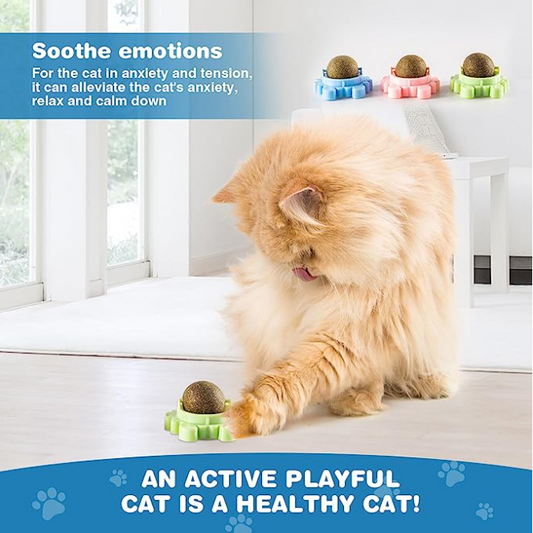 Crab Catnip Ball Toy for Cats — Detachable Design for Dental Health & Anxiety Relief