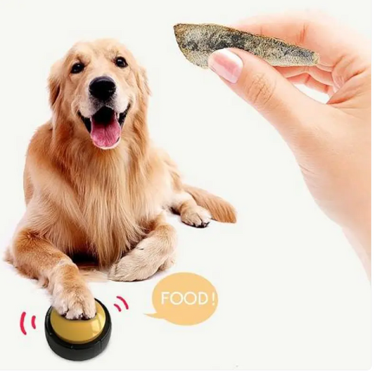 Recordable Sound Buttons for Dogs — Personalized Communication & Training Toy