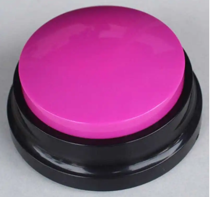 Recordable Sound Buttons for Dogs — Personalized Communication & Training Toy