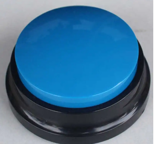 Recordable Sound Buttons for Dogs — Personalized Communication & Training Toy