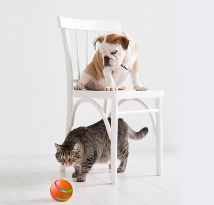 Interactive Self-Rotating Cat Ball Toy — USB Rechargeable, Motion Activated