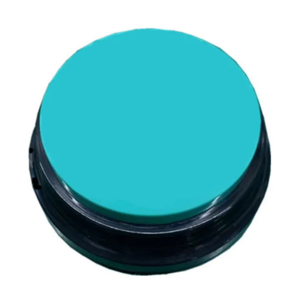 Recordable Sound Buttons for Dogs — Personalized Communication & Training Toy