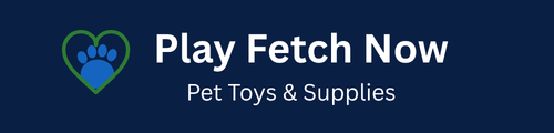 Play Fetch Now
